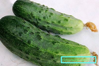 30-15 migliori varietà di cetriolo per