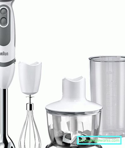 Frullatori: modelli e suggerimenti moderni per la scelta Frullatori: modelli e suggerimenti moderni per la scelta