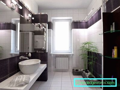 16 bagno in bianco e nero - 105 foto