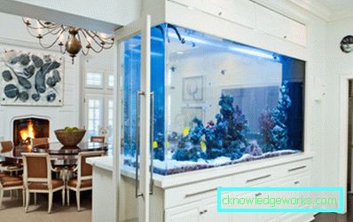 Foto: acquario di zonizzazione vivente e da pranzo