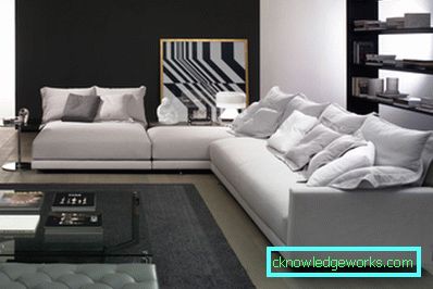 Divano in pelle all'interno - 100 opzioni di design fotografico