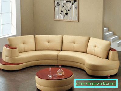 Divano in pelle all'interno - 100 opzioni di design fotografico