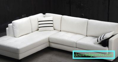 Divano in pelle all'interno - 100 opzioni di design fotografico