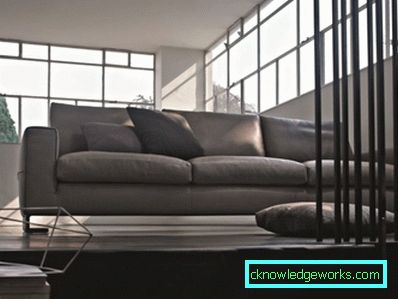 Divano in pelle all'interno - 100 opzioni di design fotografico