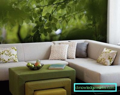 Photowall-paper in un salotto interno in stile moderno - una foto di idee