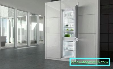 Frigorifero gorenje Frigorifero gorenje