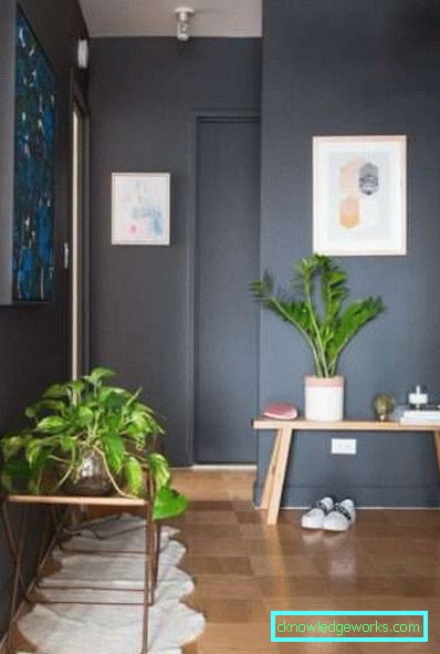 Corridoio interno nell'appartamento - soluzioni fotografiche per una stanza grande e piccola