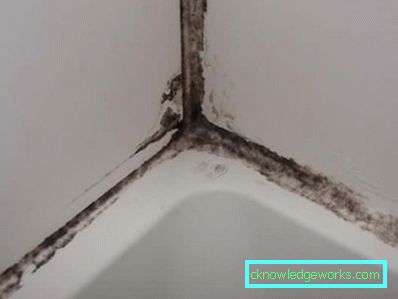 Come sbarazzarsi di muffe e funghi nel bagno di casa Come sbarazzarsi di muffe e funghi nel bagno di casa