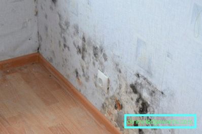 Come sbarazzarsi di muffe e funghi nel bagno di casa Come sbarazzarsi di muffe e funghi nel bagno di casa