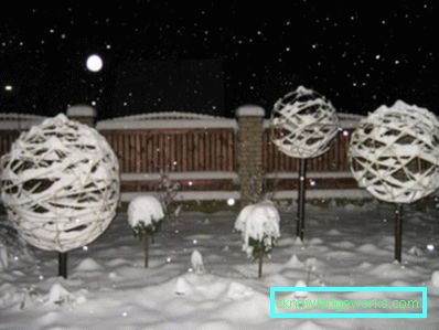 258-Come decorare un giardino in inverno