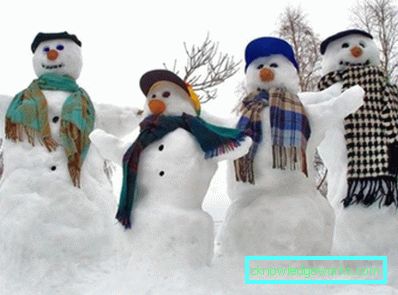 258-Come decorare un giardino in inverno
