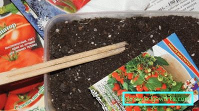 76-Come piantare pomodori sulle piantine