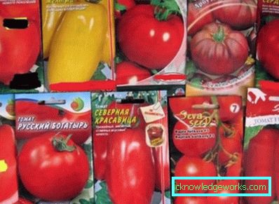 76-Come piantare pomodori sulle piantine