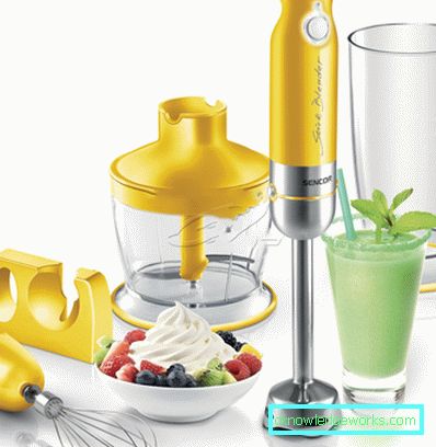 Quale è meglio scegliere un frullatore Quale è meglio scegliere un frullatore