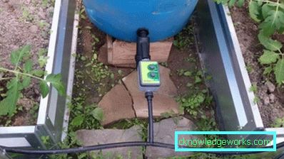 Irrigazione a goccia in serra: il dispositivo e i vantaggi del sistema Irrigazione a goccia in serra: il dispositivo e i vantaggi del sistema