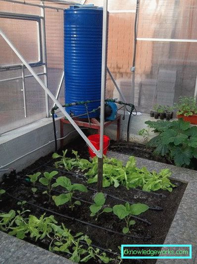 Irrigazione a goccia in serra: il dispositivo e i vantaggi del sistema Irrigazione a goccia in serra: il dispositivo e i vantaggi del sistema