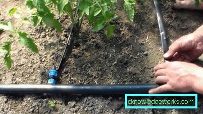 Irrigazione a goccia in serra: il dispositivo e i vantaggi del sistema Irrigazione a goccia in serra: il dispositivo e i vantaggi del sistema