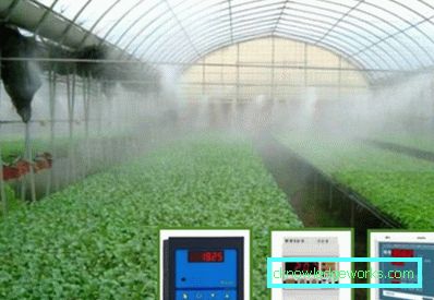 Irrigazione a goccia in serra: il dispositivo e i vantaggi del sistema Irrigazione a goccia in serra: il dispositivo e i vantaggi del sistema