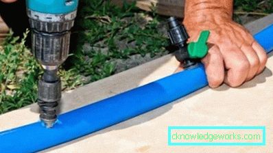 Irrigazione a goccia in serra: il dispositivo e i vantaggi del sistema Irrigazione a goccia in serra: il dispositivo e i vantaggi del sistema