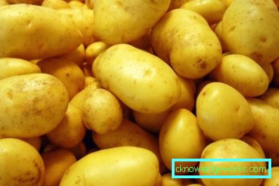 147 patate in serra