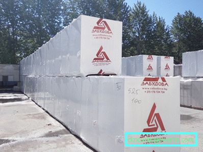 Colla per blocchi di silicato di gas: come scegliere e come usare? Colla per blocchi di silicato di gas: come scegliere e come usare?