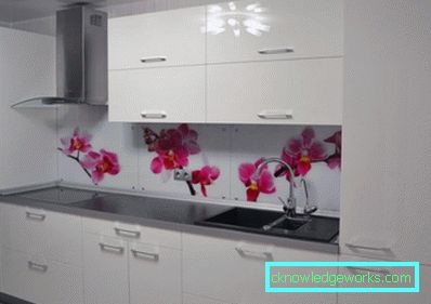 Grembiuli da cucina 333 con stampa fotografica