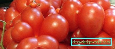 210-Le migliori varietà di pomodori per la Siberia