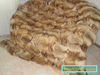 124-Cape sofa - 100 foto