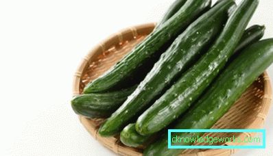 Coccodrillo 101-Cetriolo