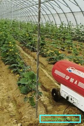 Riscaldamento a effetto serra: opzioni e caratteristiche Riscaldamento a effetto serra: opzioni e caratteristiche