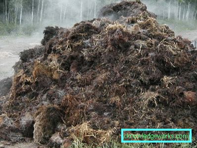 Riscaldamento a effetto serra: opzioni e caratteristiche Riscaldamento a effetto serra: opzioni e caratteristiche