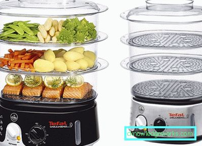 Ne vale la pena di cucinare il cibo in una doppia caldaia: i benefici e i danni Ne vale la pena di cucinare il cibo in una doppia caldaia: i benefici e i danni