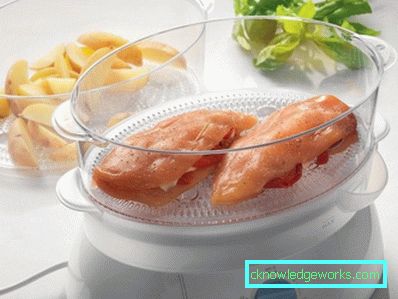 Ne vale la pena di cucinare il cibo in una doppia caldaia: i benefici e i danni Ne vale la pena di cucinare il cibo in una doppia caldaia: i benefici e i danni