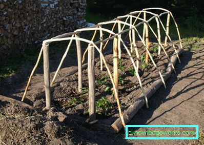 Serra per i cetrioli: tipi e dettagli di produzione Serra per i cetrioli: tipi e dettagli di produzione