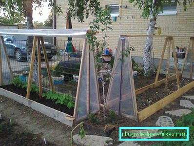 Serra per i cetrioli: tipi e dettagli di produzione Serra per i cetrioli: tipi e dettagli di produzione