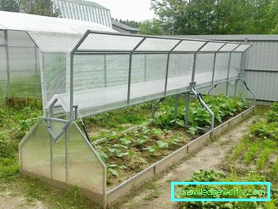 Serra per i cetrioli: tipi e dettagli di produzione Serra per i cetrioli: tipi e dettagli di produzione
