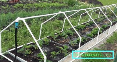 Serra per i cetrioli: tipi e dettagli di produzione Serra per i cetrioli: tipi e dettagli di produzione
