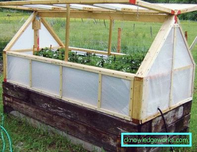 Serra per i cetrioli: tipi e dettagli di produzione Serra per i cetrioli: tipi e dettagli di produzione