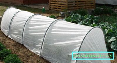 Serra per i cetrioli: tipi e dettagli di produzione Serra per i cetrioli: tipi e dettagli di produzione