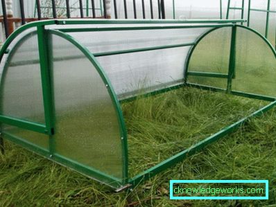 Serra per i cetrioli: tipi e dettagli di produzione Serra per i cetrioli: tipi e dettagli di produzione