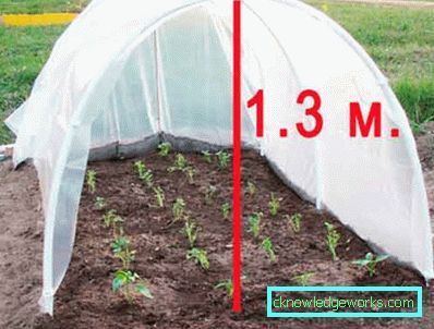 Greenhouse Greenhouse