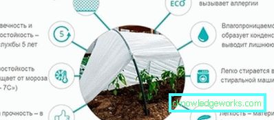Greenhouse Greenhouse