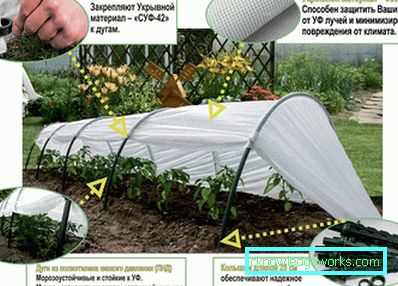 Greenhouse Greenhouse