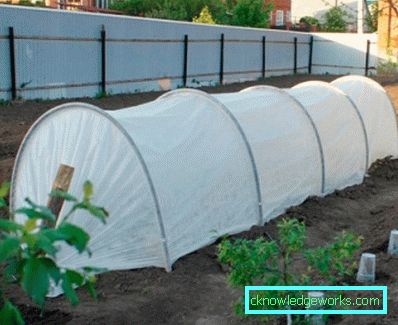 Greenhouse Greenhouse
