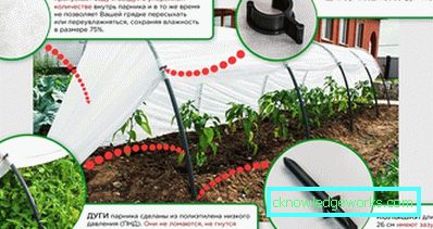 Greenhouse Greenhouse