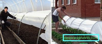 Greenhouse Greenhouse
