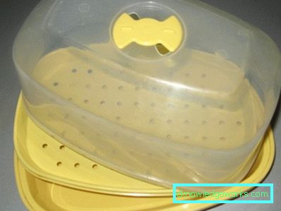 Piroscafo a microonde Piroscafo a microonde