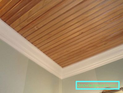 13-soffitto in bagno - 105 foto