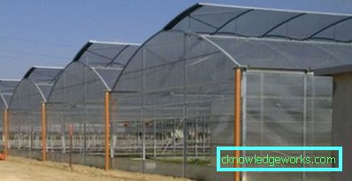 46-Serre industriali