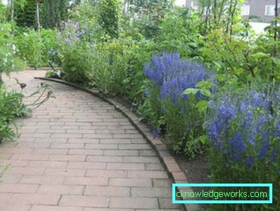 83-giardino e giardino con le proprie mani